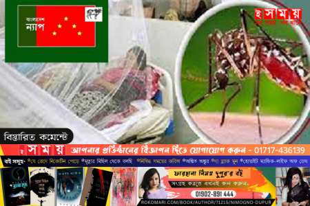 ডেঙ্গু মোকাবিলায় সম্পূর্ণ ব্যর্থ সরকার : বাংলাদেশ ন্যাপ 